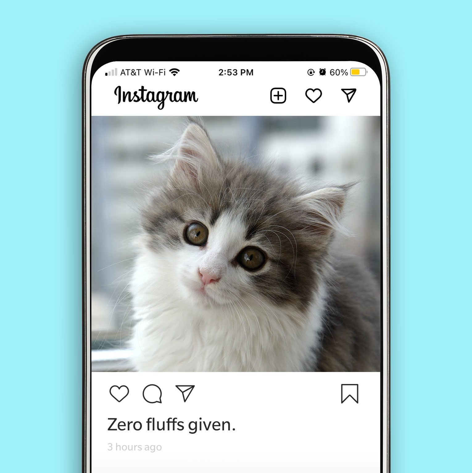 45 Best Cat Instagram Captions for a Purrfect Post | Reader's Digest