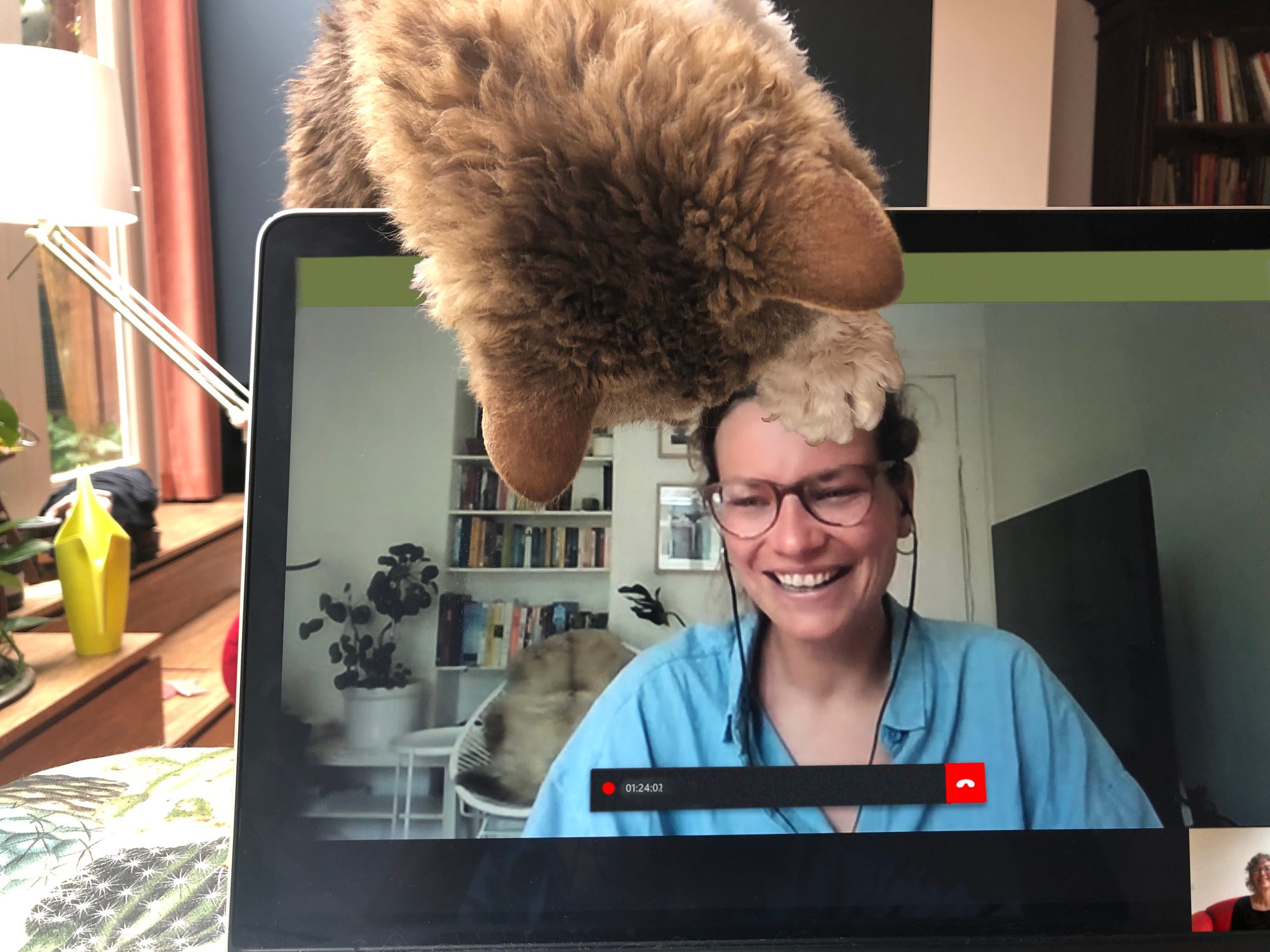 Video call with cat joining in