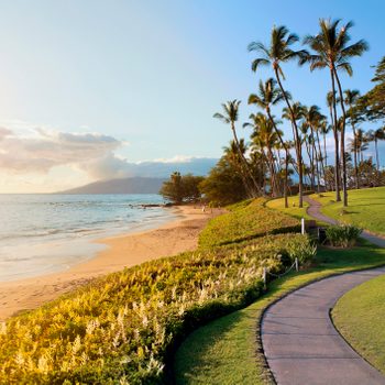 Tropical beach path with palm trees at sunset in the luxury resort destination of Wailea, Maui, Hawaii, USA.