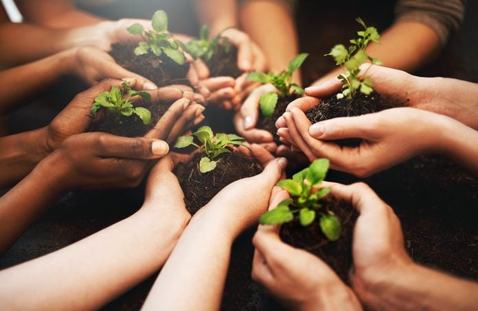 group of people's hands holding plants growing out of soil; planting trees for Earth Day concept