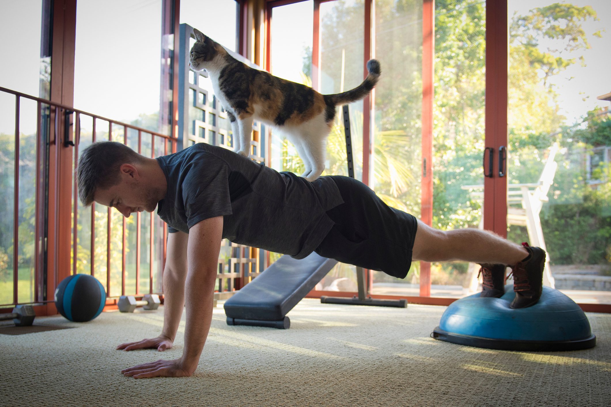 Young man exercise with cat on his back