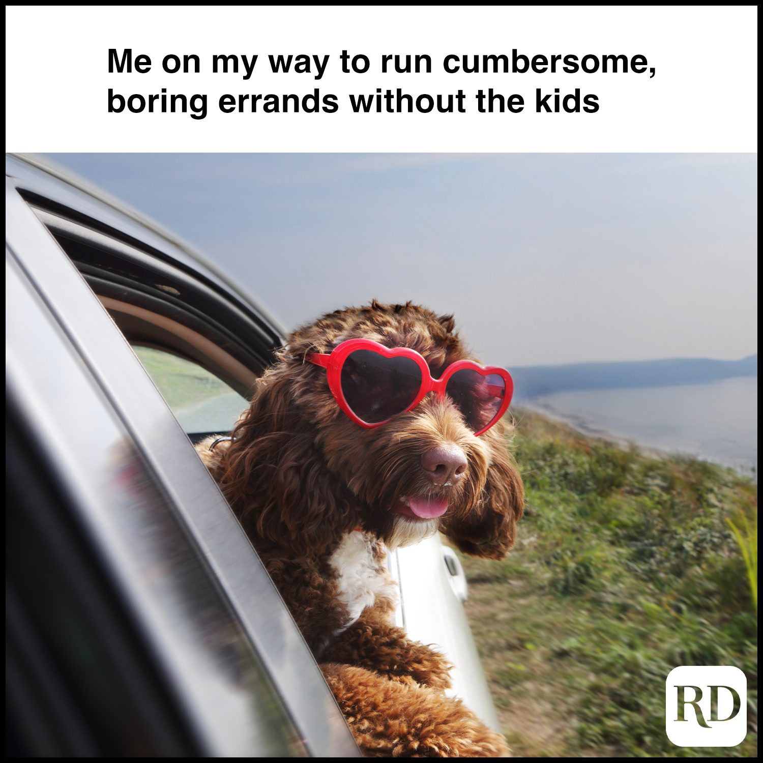 Dog sticking head out window. MEME TEXT: Me on my way to run cumbersome, boring errands without the kids