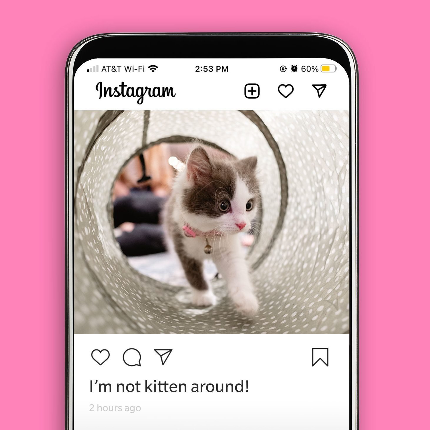 45 Best Cat Instagram Captions for a Purrfect Post | Reader's Digest