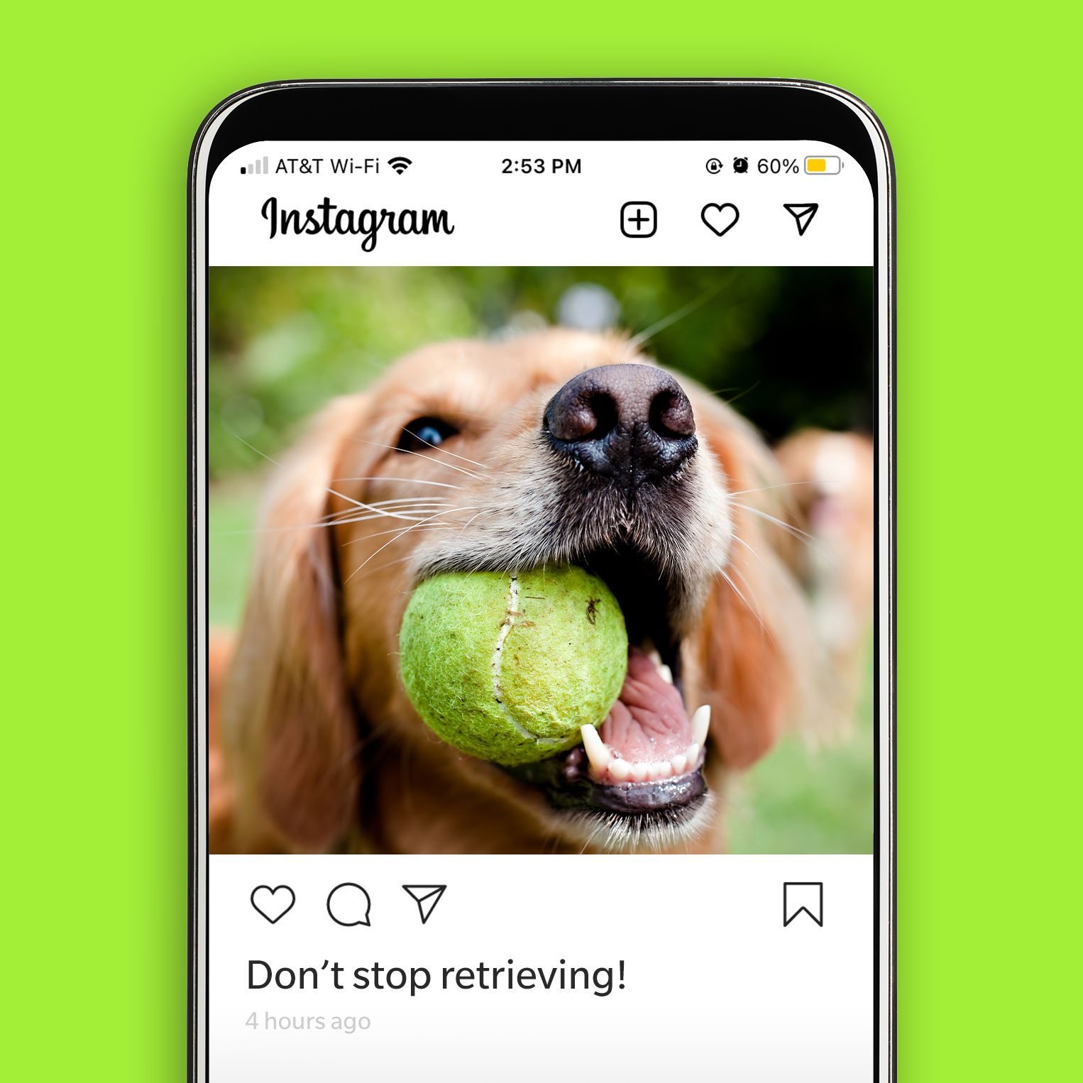 45 Best Dog Instagram Captions | Reader's Digest