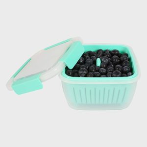 Shopwithgreen Berry Storage Containers For Fridge