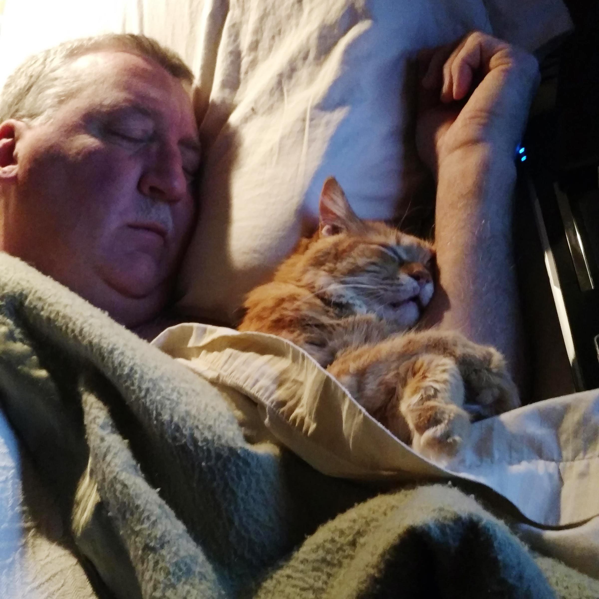 a man and his cat sleep together