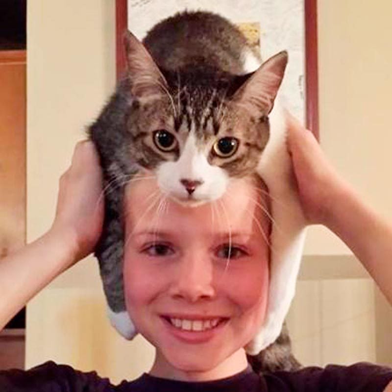 young girl with a cat on her head like a wig