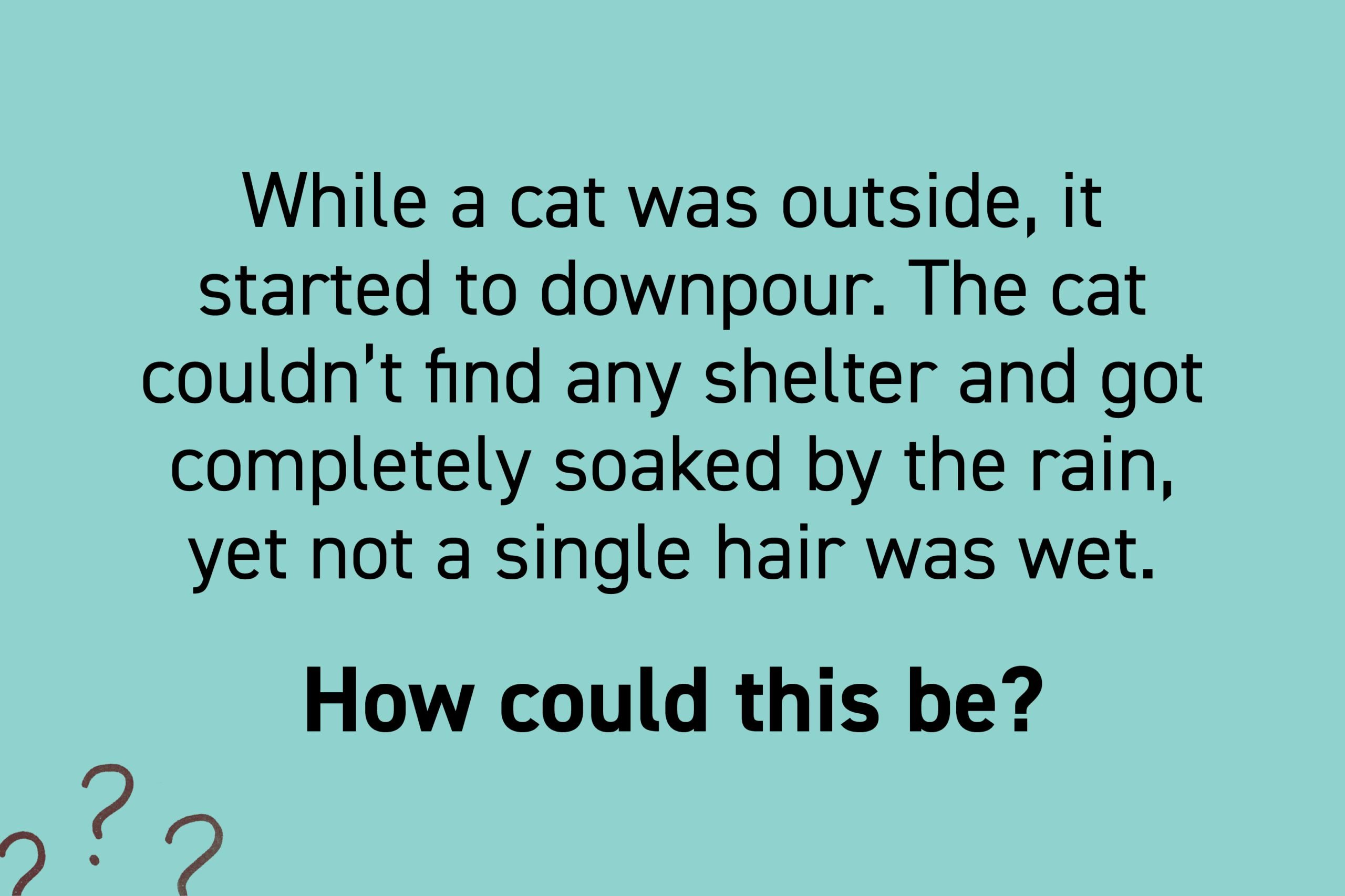 While a cat was outside, it started to downpour. The cat couldn't find any shelter and got completely soaked by the rain, yet not a single hair was wet. How could this be?