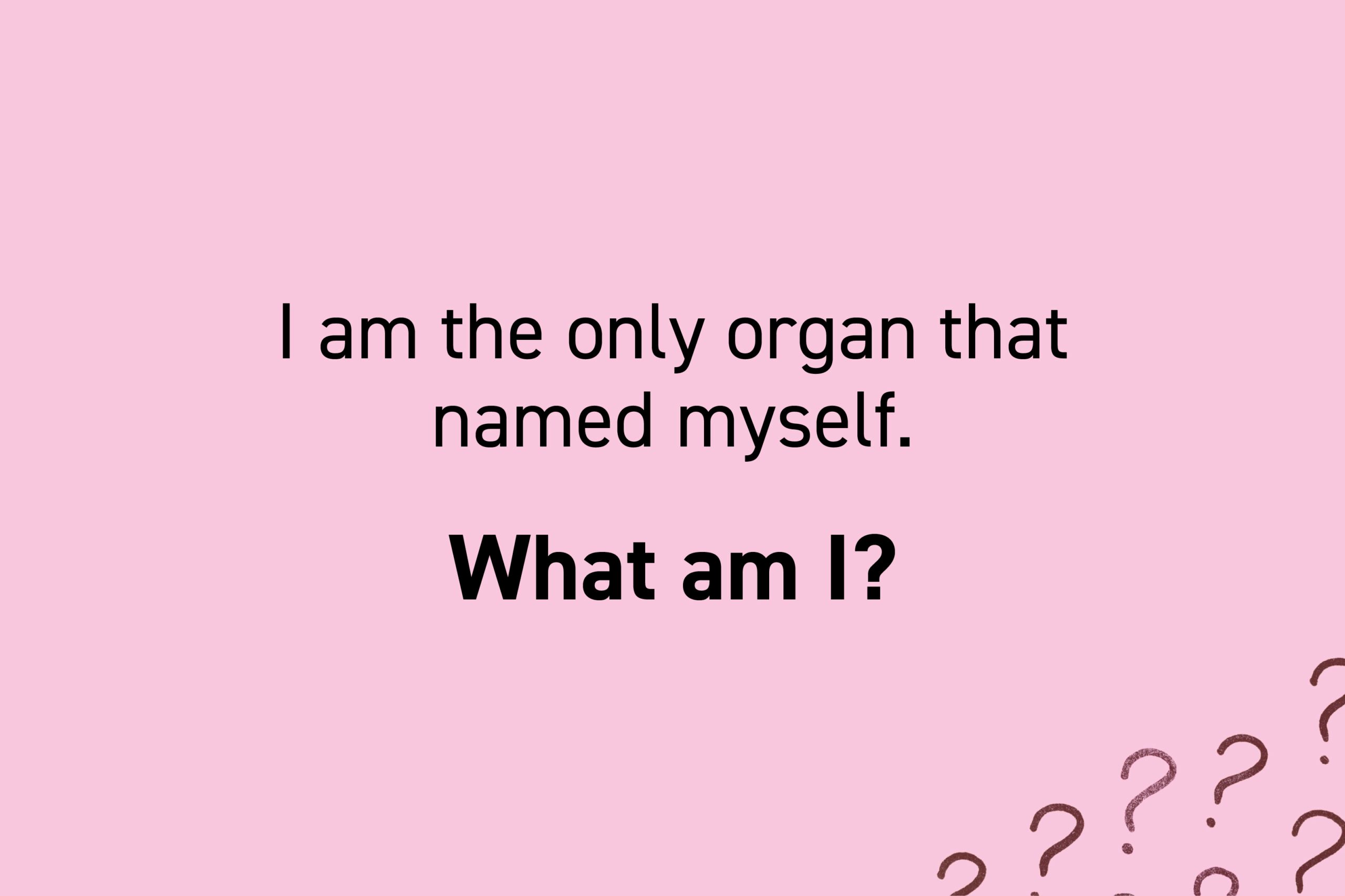 I am the only organ that named myself. What am I?