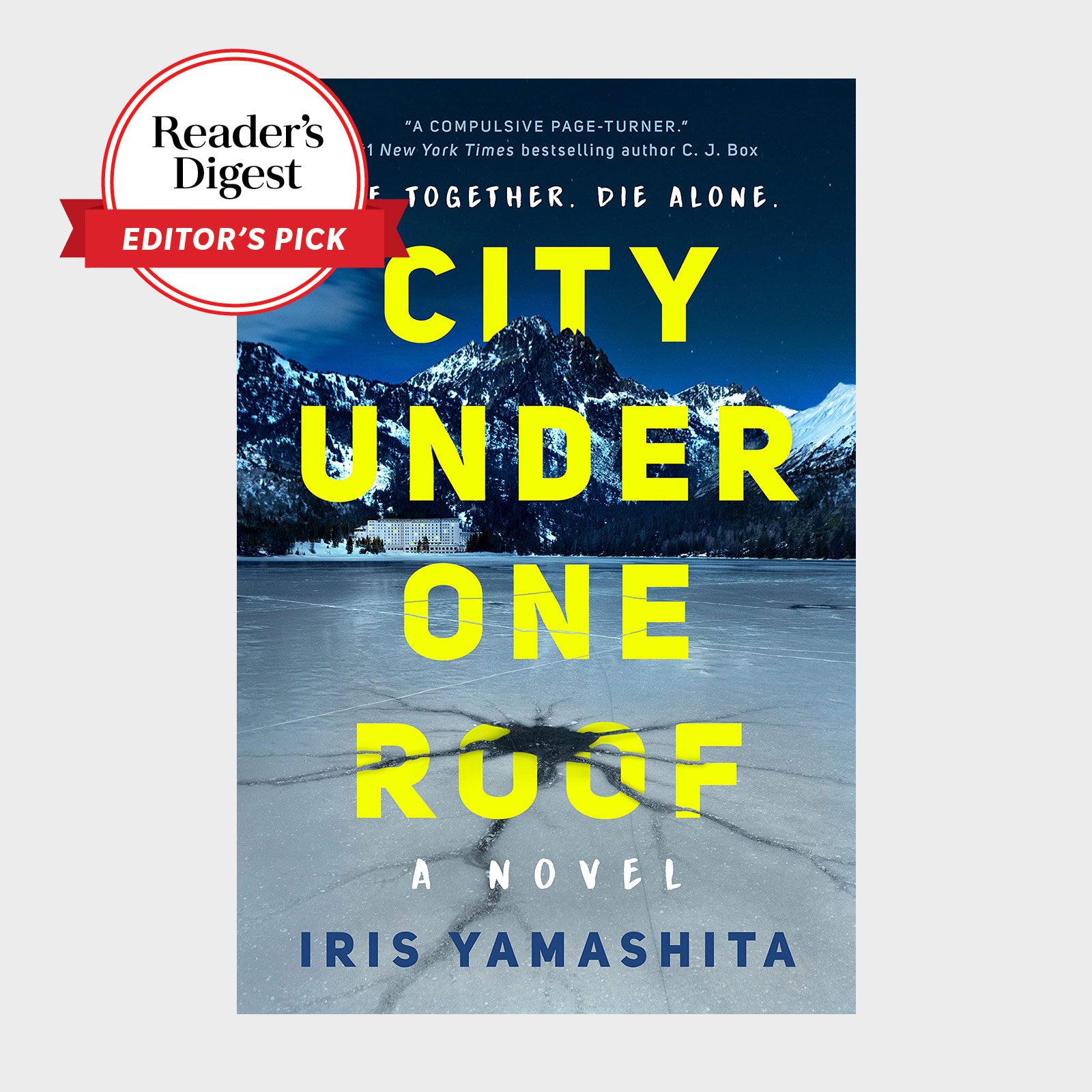 City Under One Roof Book