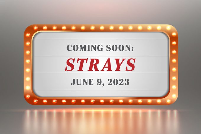 Coming Soon Strays Movie