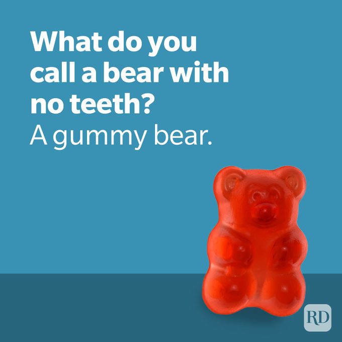 Dad Joke Bear Joke With Gummy Bear