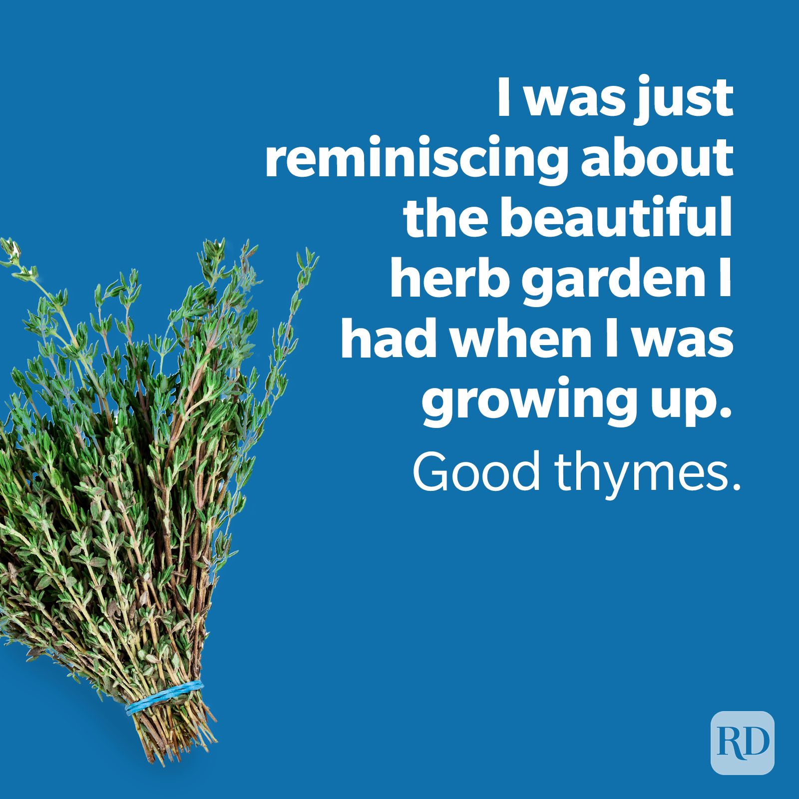 Dad Jokes Thyme With Garden Joke