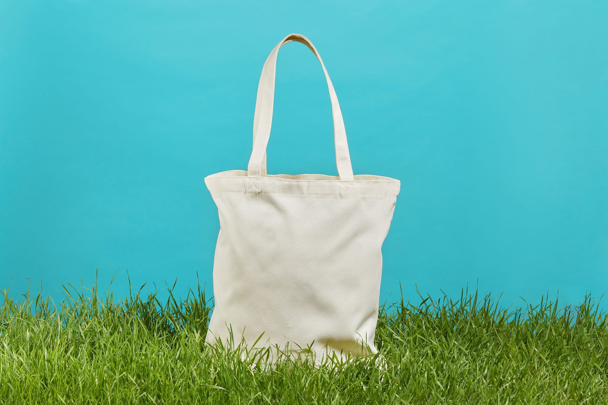 Are Reusable Bags Bad for the Environment? | Eco-Friendly Tote Bags