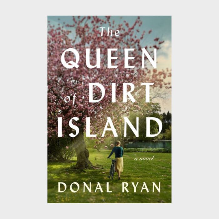 The Queen Of Dirt Island Book