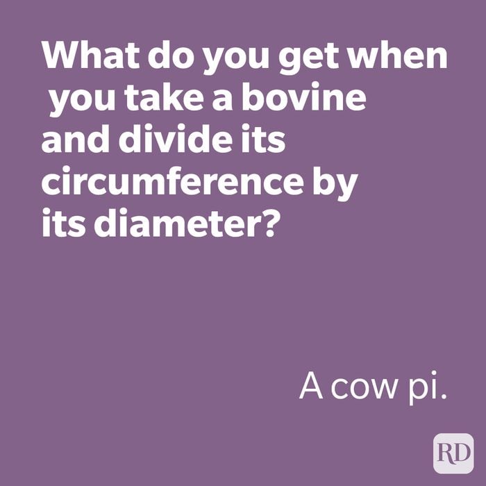 What Do You Get When You Take A Bovie And Divide Its Circumference By Its Diameter Joke