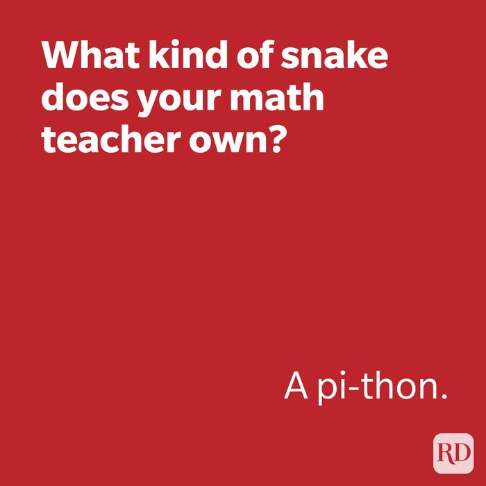 What Kind Of Snake Does Your Math Teacher Own Joke