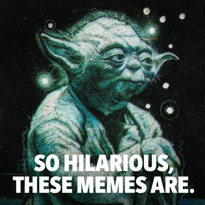 Image of Yoda that says "so hilarious, these memes are."