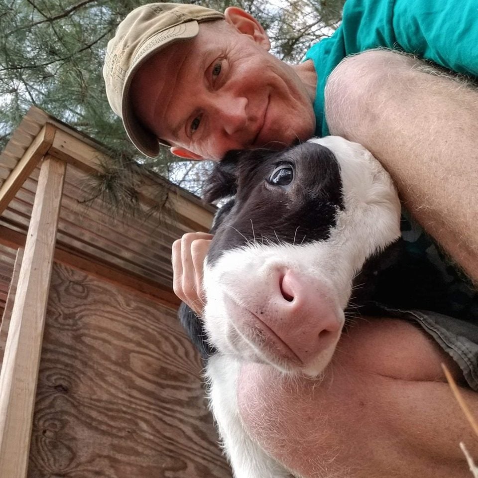 pet pals, a man and cow