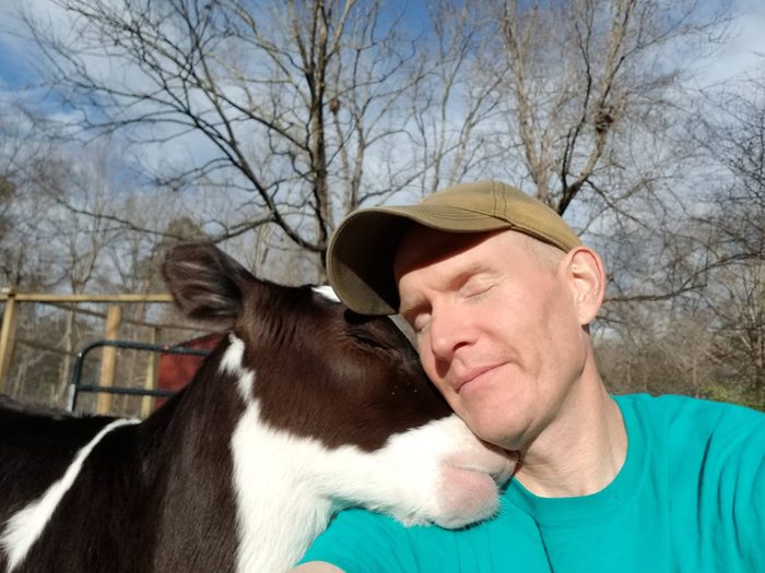 Man Becomes Besties with a 1,000-Pound Rescue Cow | Reader's Digest