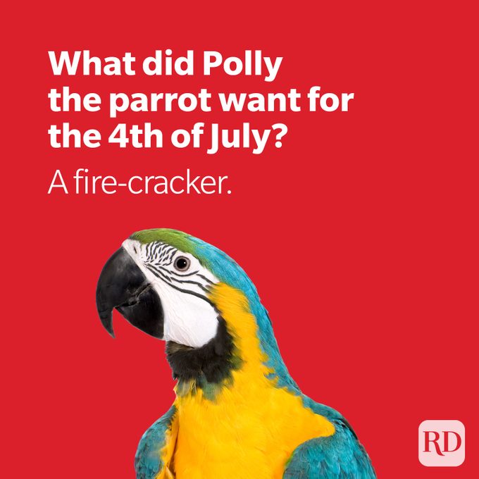 polly want a fire-cracker 4th of july joke