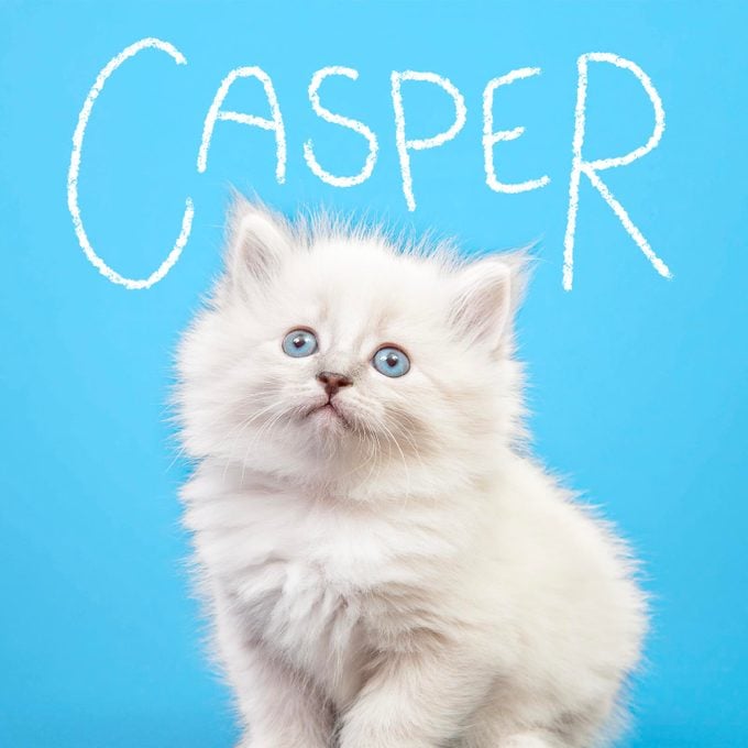 Boy cat name "Casper" handwritten on a photo of a cat on a blue background