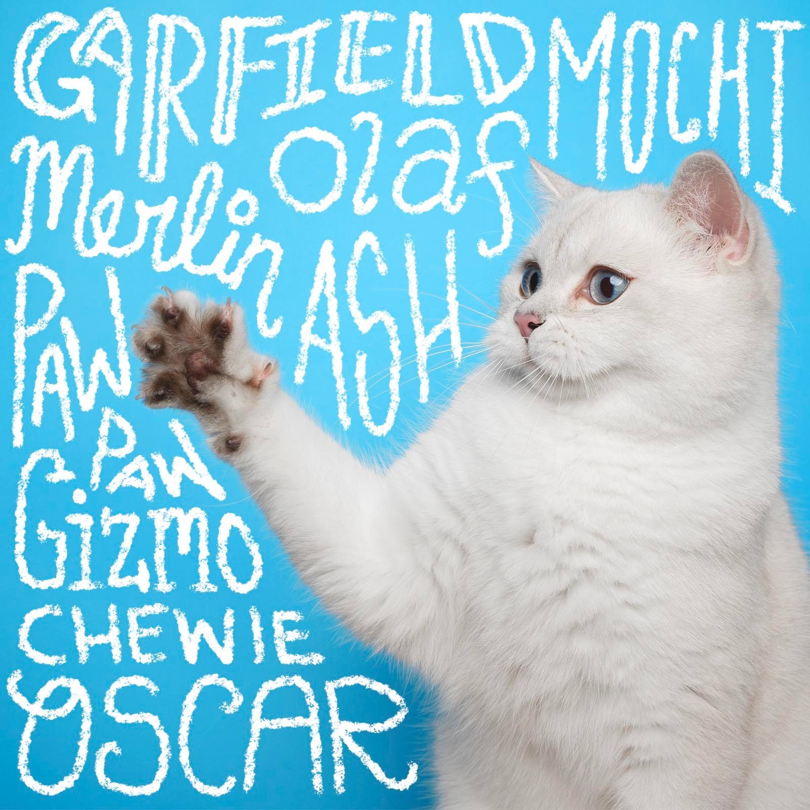 Boy cat names handwritten on a photo of a cat on a blue background