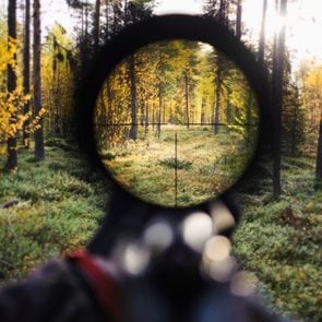 View of trees through rifle sight