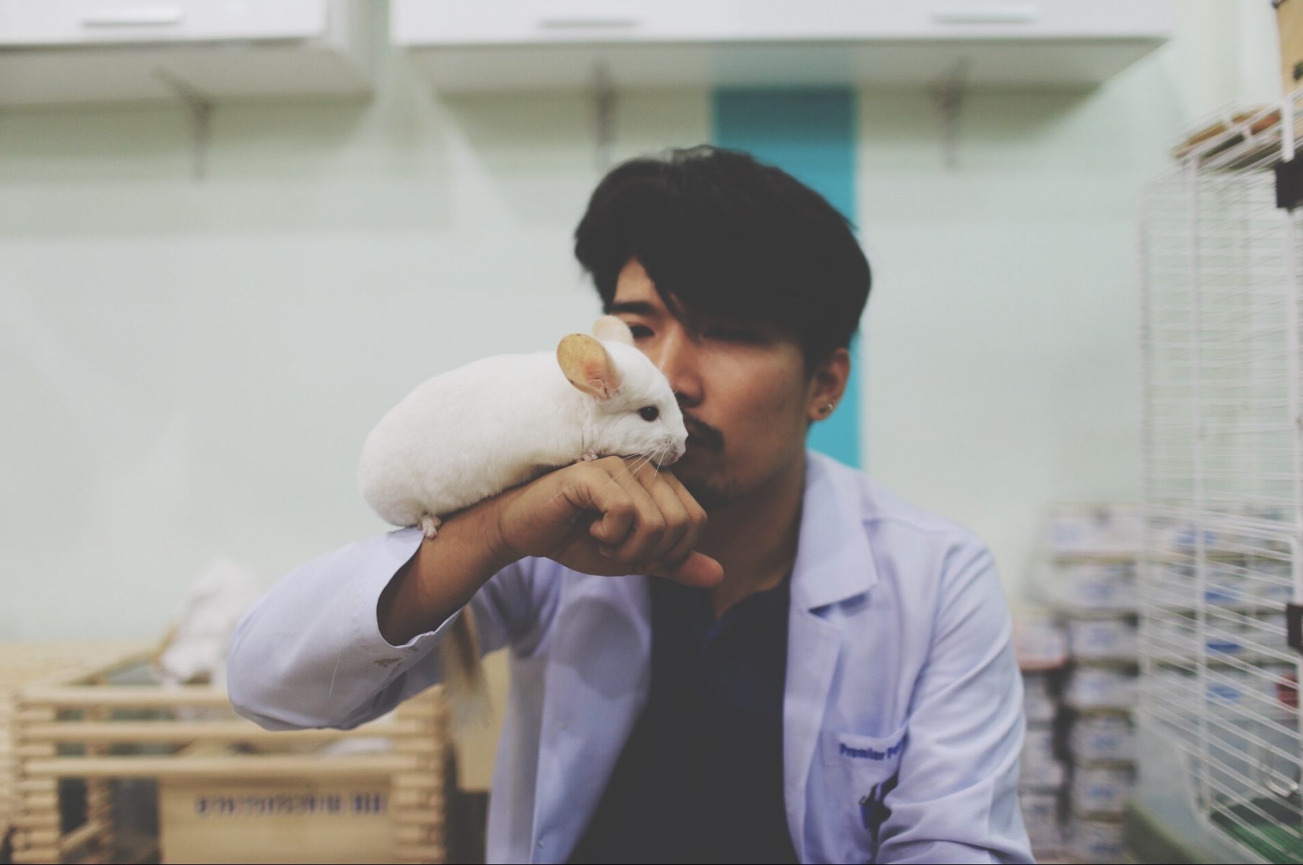 Veterinarian Holding Rat While Sitting In Hospital