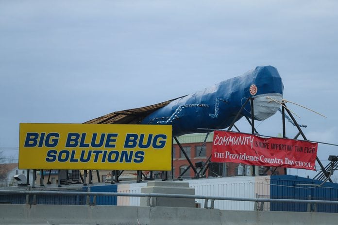 Big Blue Bug Solutions...