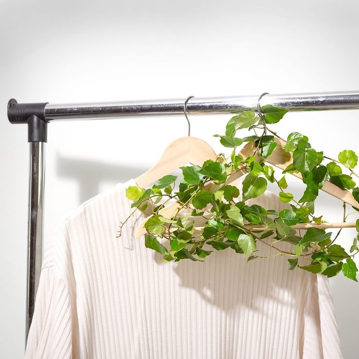 clothing rack with two hangers; one hanger has a beige sweater, the other is wrapped in vines