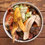 How to Make Compost at Home to Enrich Your Garden