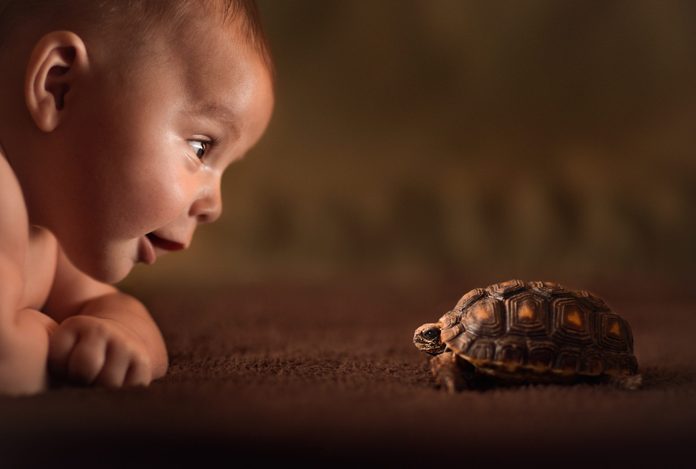 Baby and turtle
