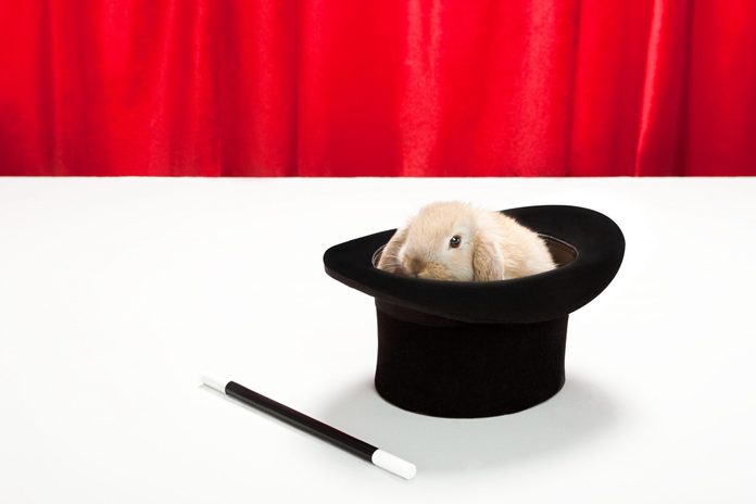 Rabbit in top hat with magic wand