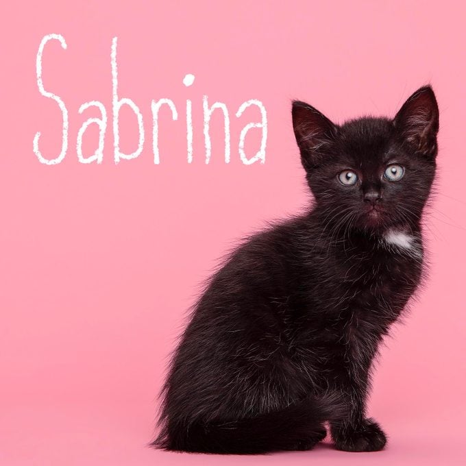 Girl cat name "Sabrina" handwritten over a photo of a cat on a pink background
