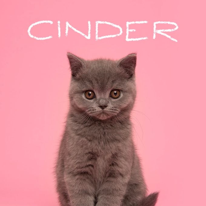 Girl cat name "Cinder" handwritten over a photo of a cat on a pink background