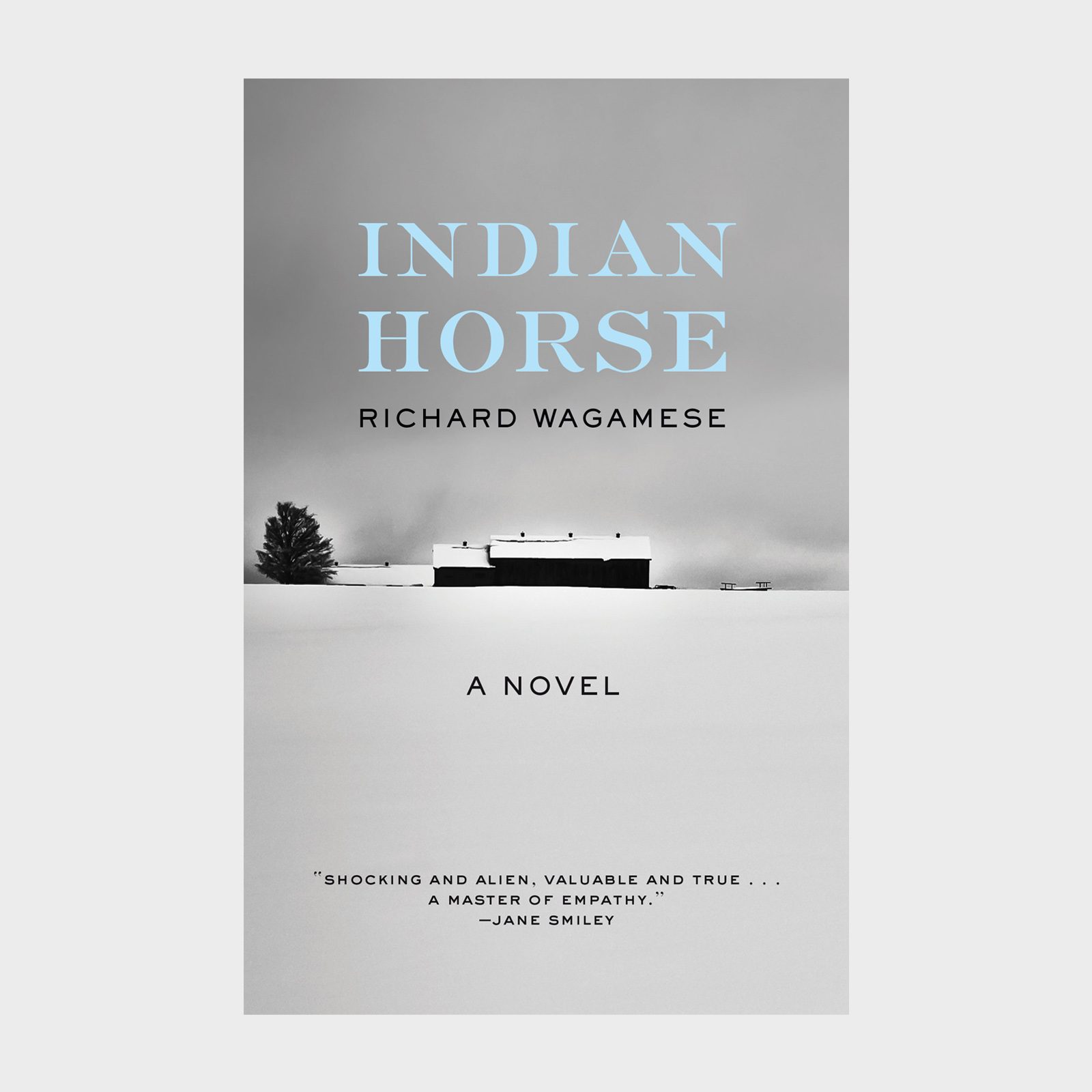 Indian Horse By Richard Wagamese Via Amazon