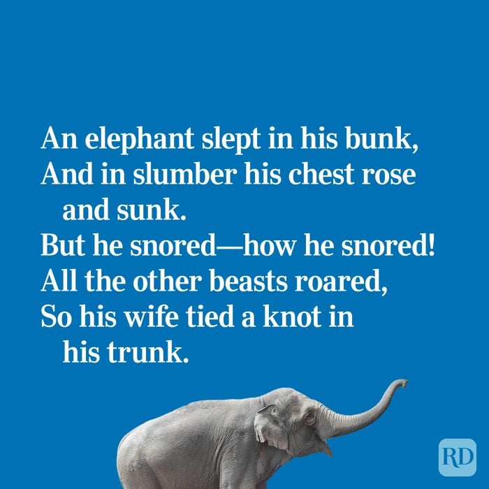 Quirky limerick about a snoring elephant