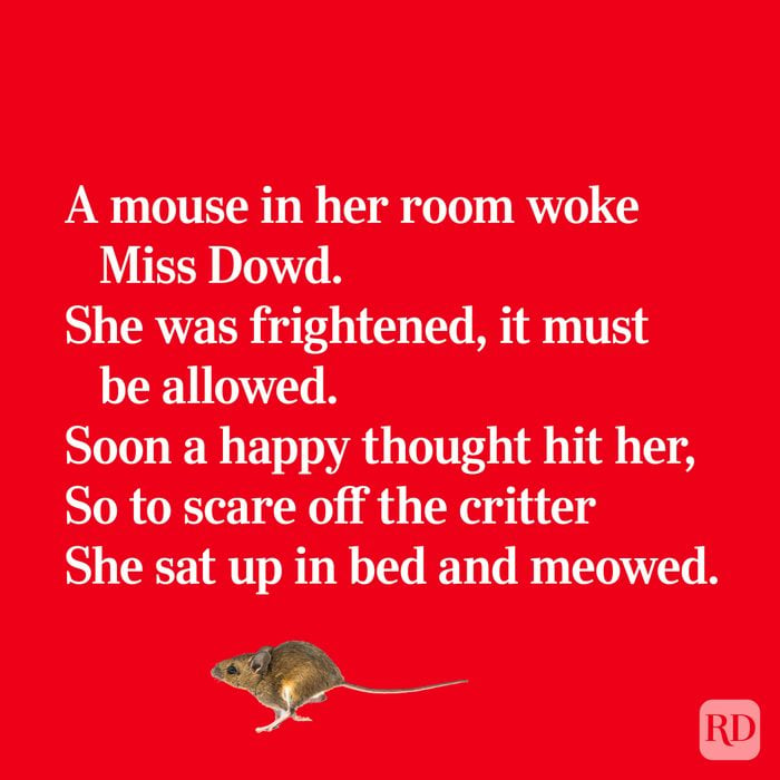 Quirky limerick about scaring a mouse off with a meow
