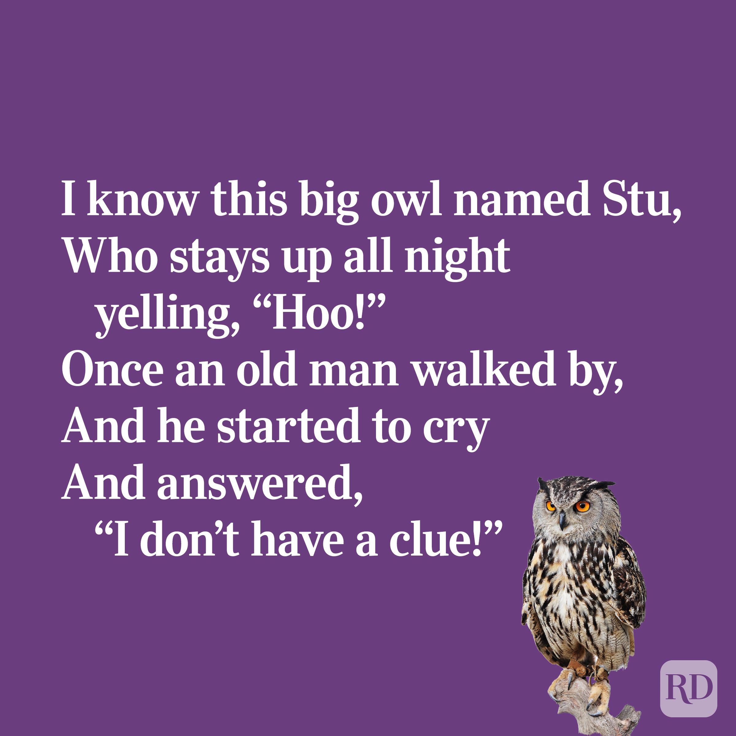 Quirky limerick about an owl