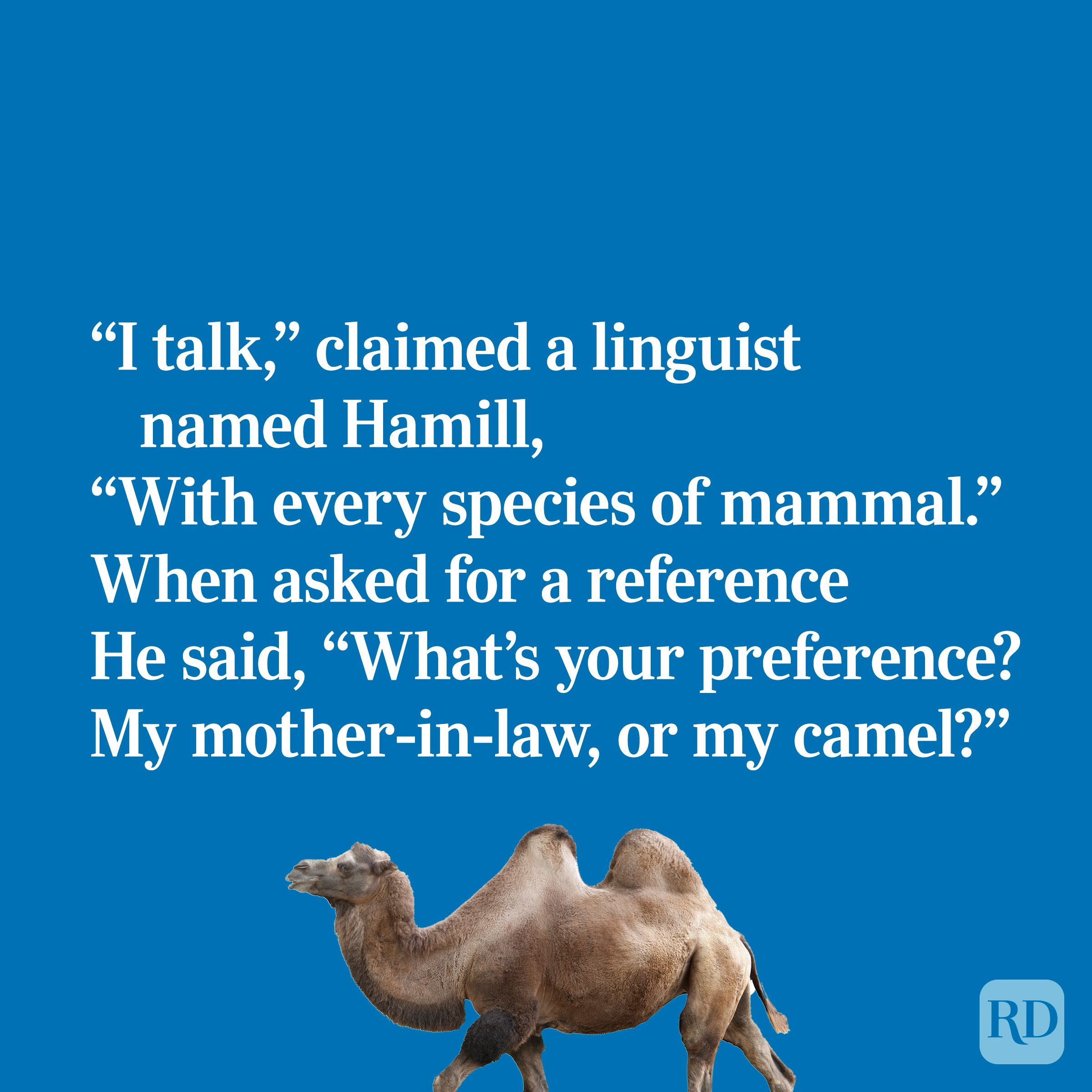 Quirky limerick about a linguist and his camel