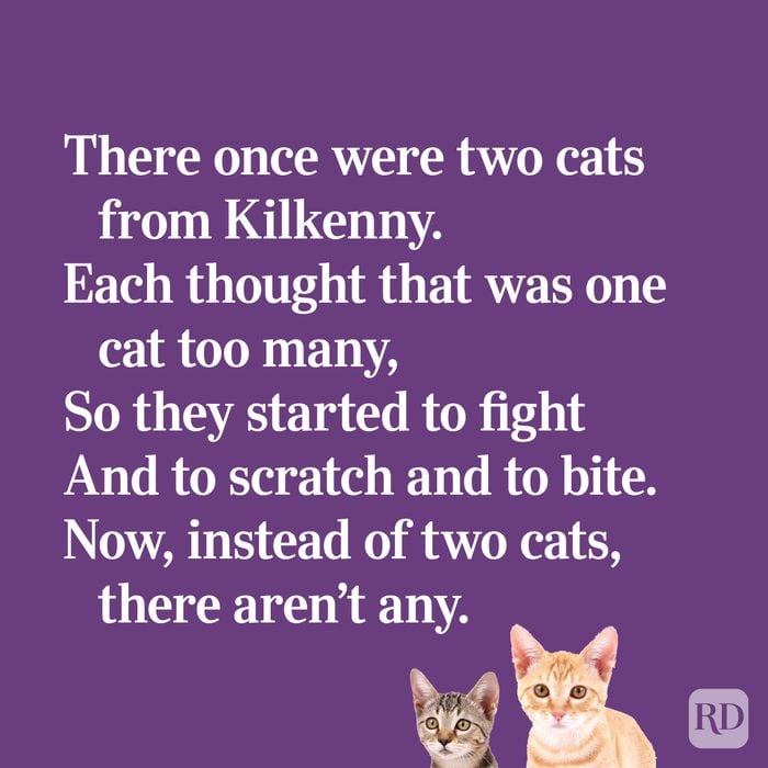Quirky limerick about cats fighting