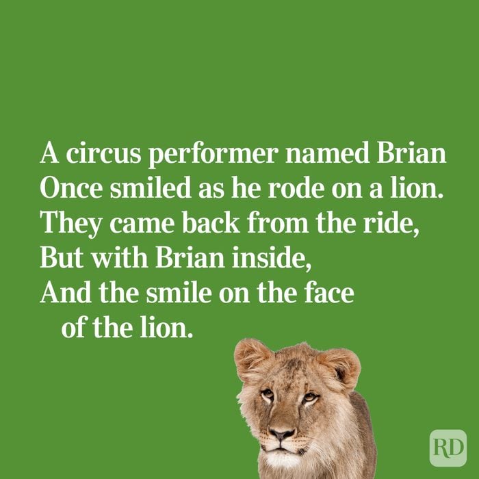 Quirky limerick about a circus lion