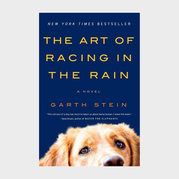 The Art Of Racing In The Rain By Garth Stein Via Amazon Ecomm