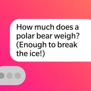 Tinder Pick Up Lines Polar Bear Break The Ice