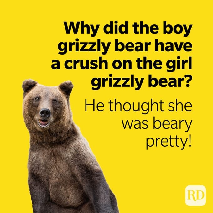 Bear Puns Beary Pretty