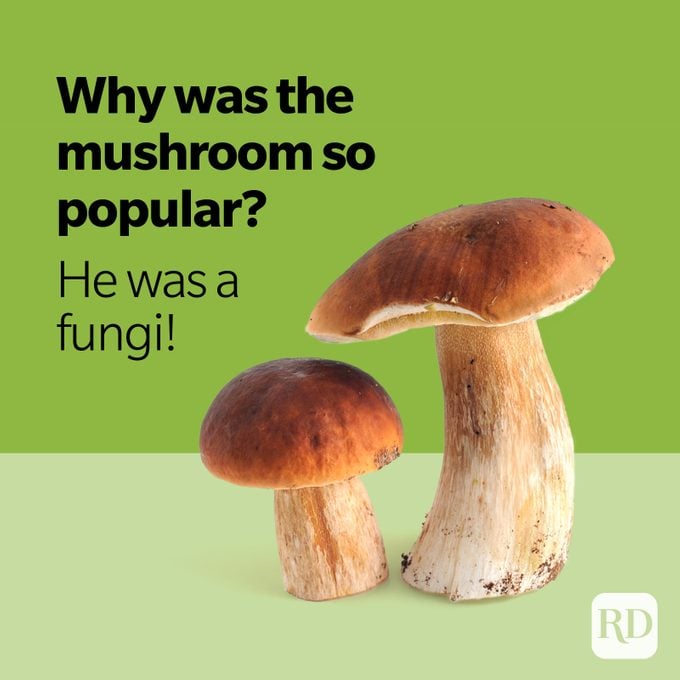 Mushrooms on green background
