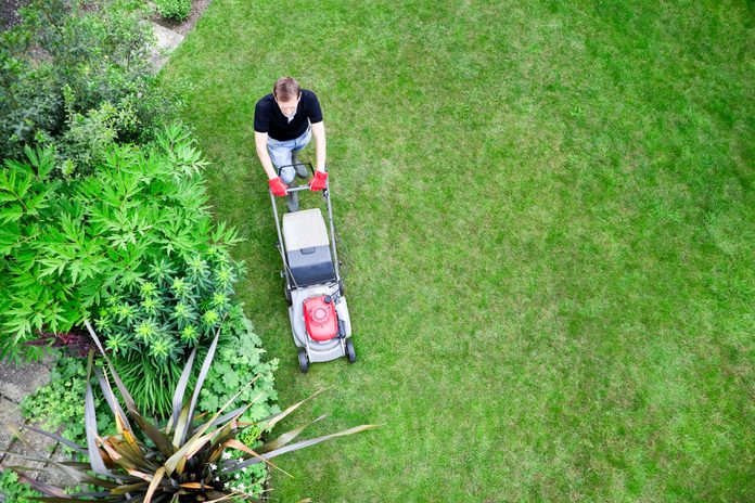 Bird's Eye View of Gardener Mowing Lawn