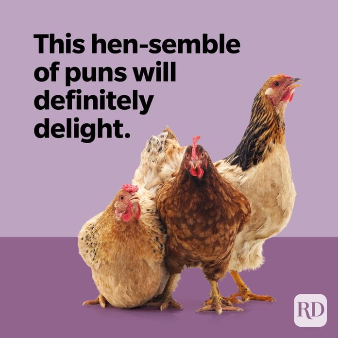 This hen-semble of puns will definitely delight.
