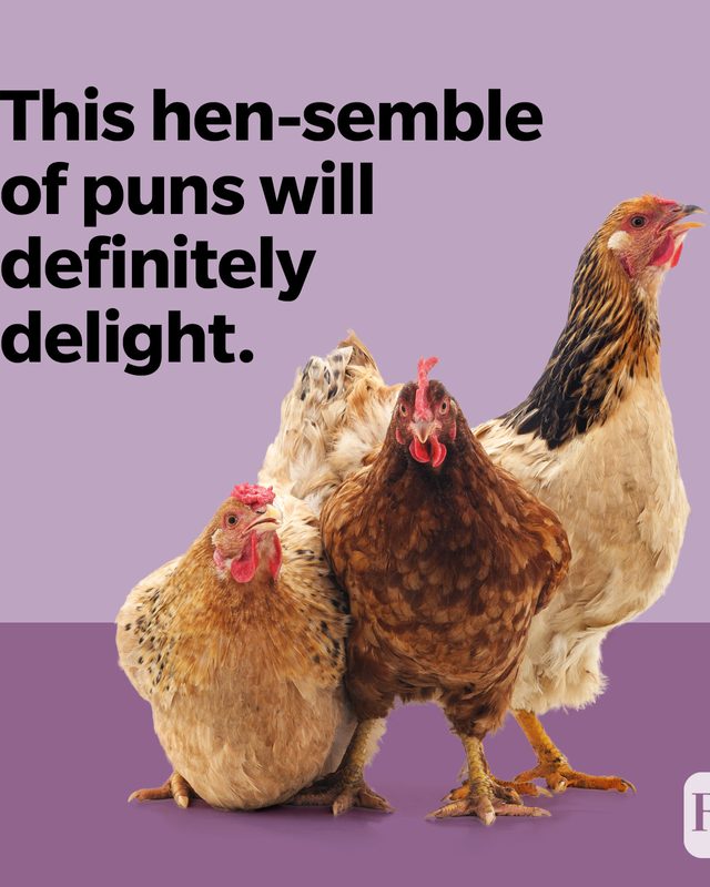 This hen-semble of puns will definitely delight.